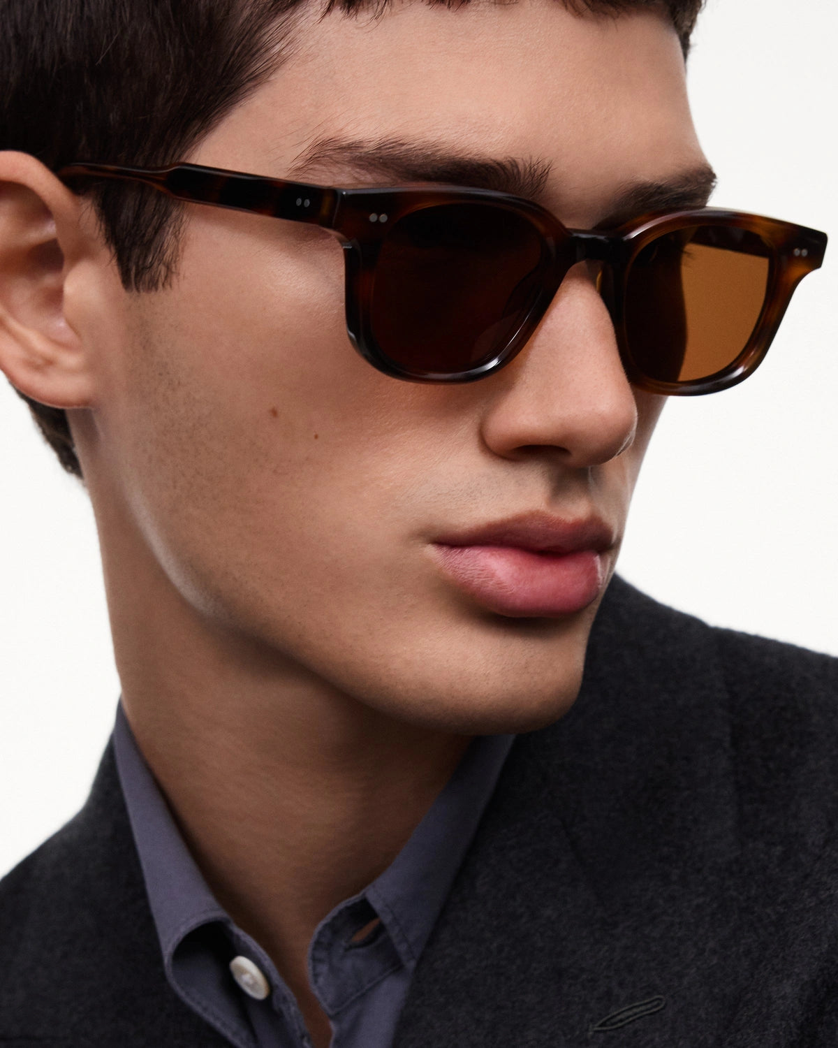 Lunettes 02 Tortoise