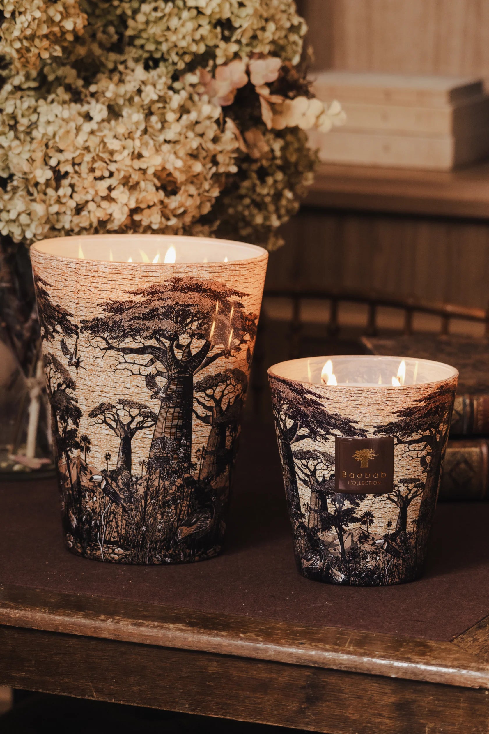 Bougie Sacred Trees Mankono (Max 24)