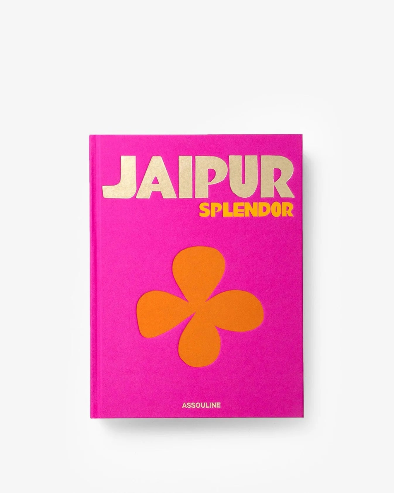 Livre Jaipur Splendor