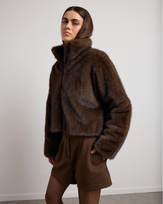 Veste Thesy