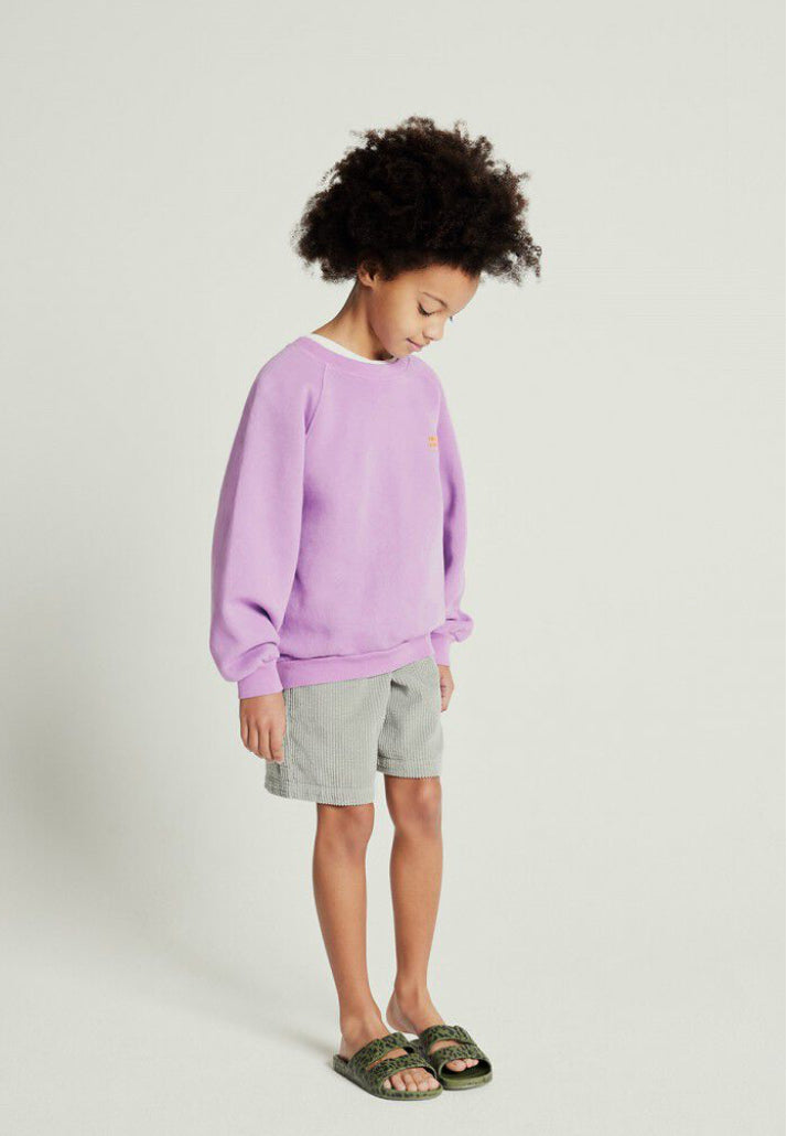 Sweat Enfant Izubird Parme