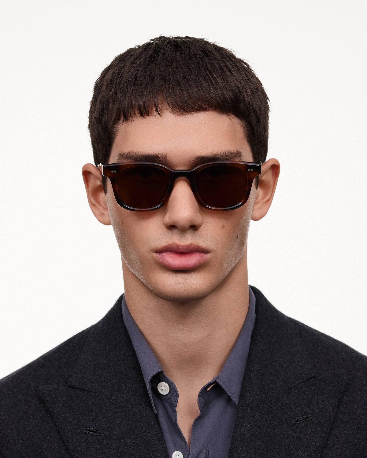 Lunettes 02 Tortoise