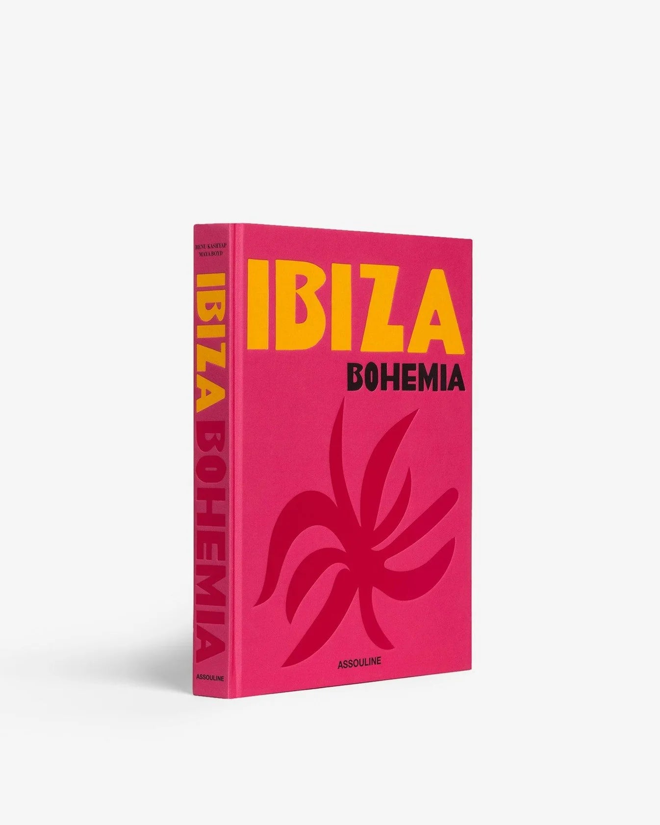 Livre Ibiza Bohemia