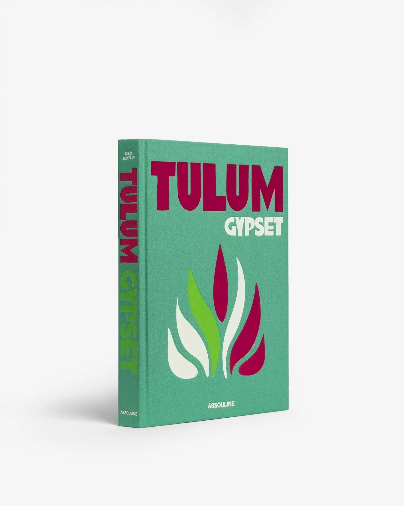 Livre Tulum Gypset