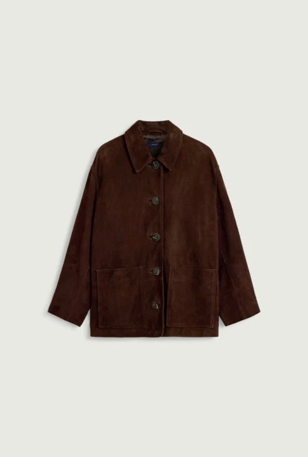 Veste Vincenzo Ebène