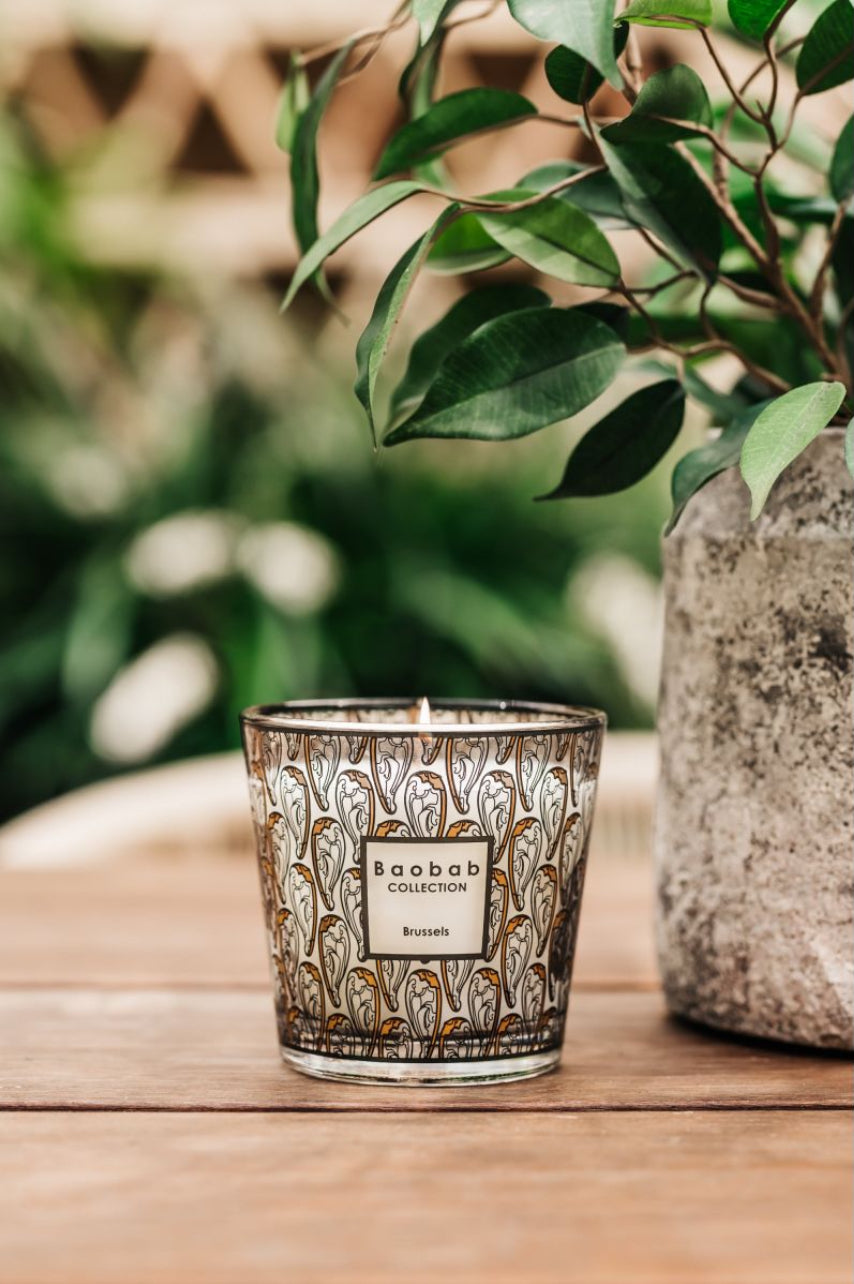 My First Baobab Brussels